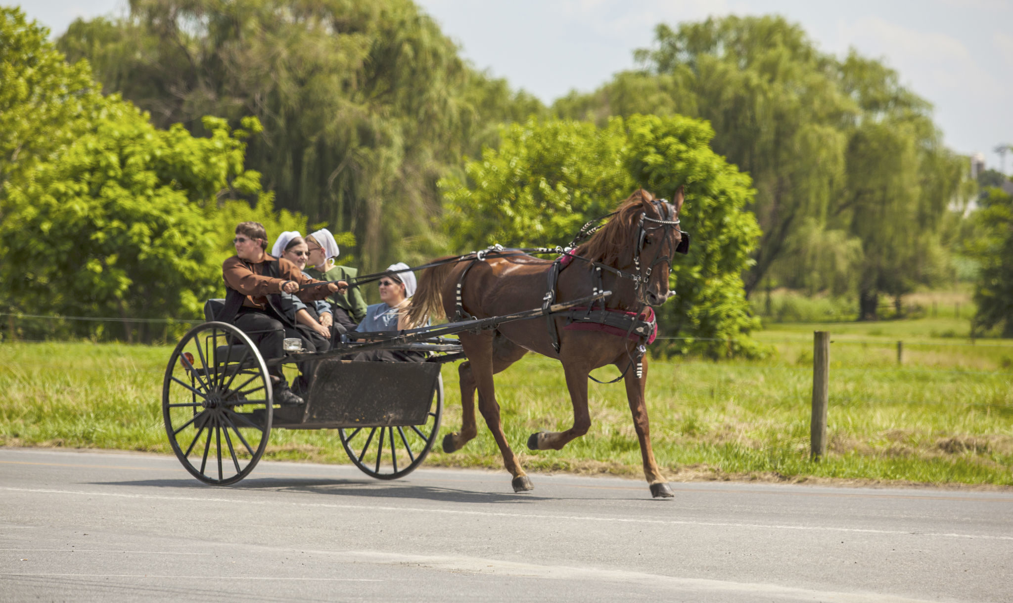 Naaister van de amish, Mindy Starns Clark 9789064512018 Boeken Naaister van de amish, Mindy Starns Clark 9789064512018 Boeken