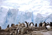 Dat rare, traag opwarmende Antarctica