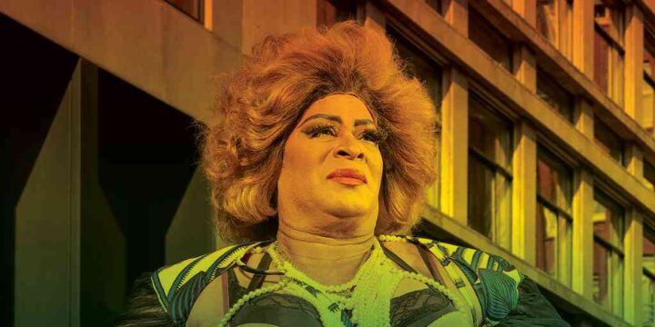 Steven Gibbs Gay Pride