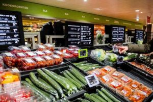 Gezond eten voelt duur, maar blijft betaalbaar