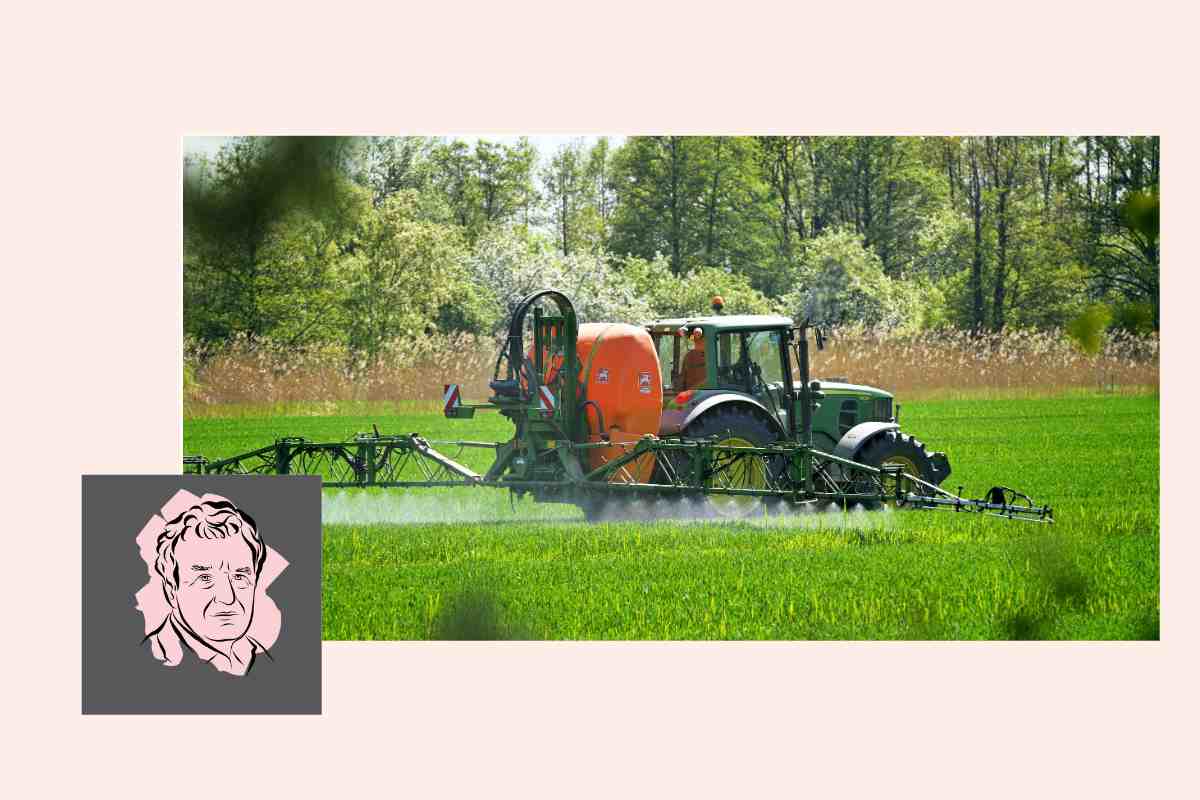 Hoe groene gekkies fruit feitenvrij verdacht maken