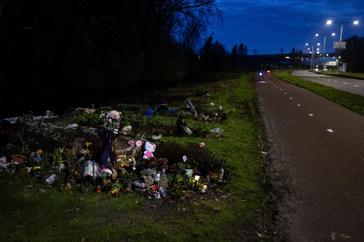 Verdachte moord Lisa uit Abcoude voor het eerst voor de rechter