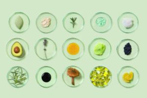 Een nieuw type eiwit dat onafhankelijk is van landbouw en klimaat en moeiteloos in bestaande producten past